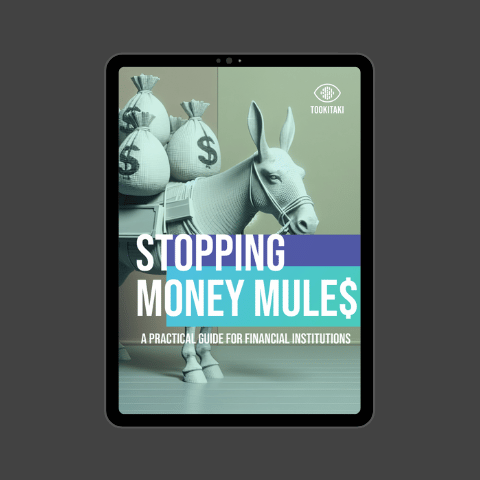 Stopping Money mules (1)